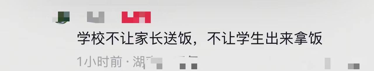 6月3日 湖南 益阳，桃江网友爆料：某学校门口的一幕。拍摄者称是因为 给 学生 送饭 问题.jpg